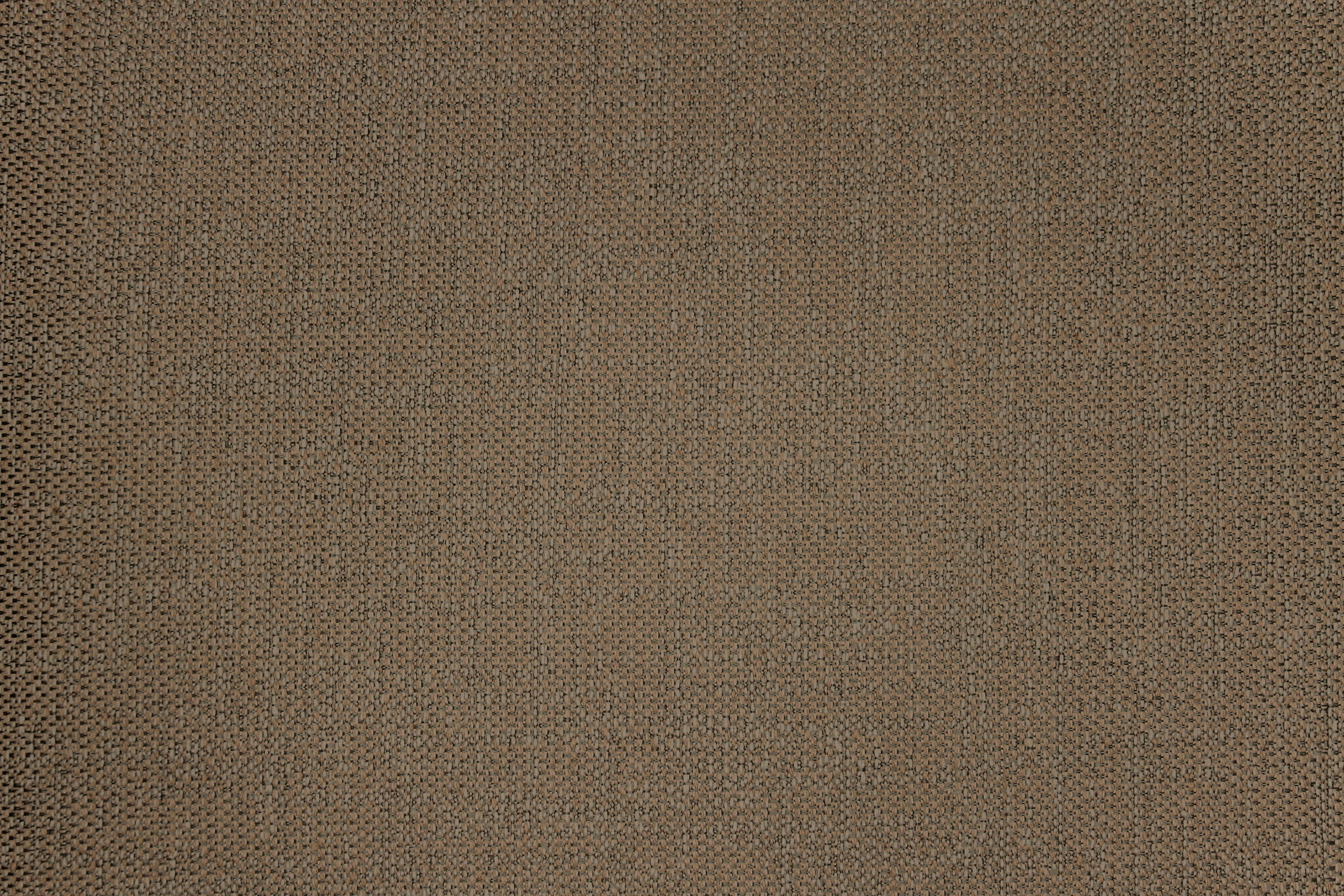 Tailor Brown