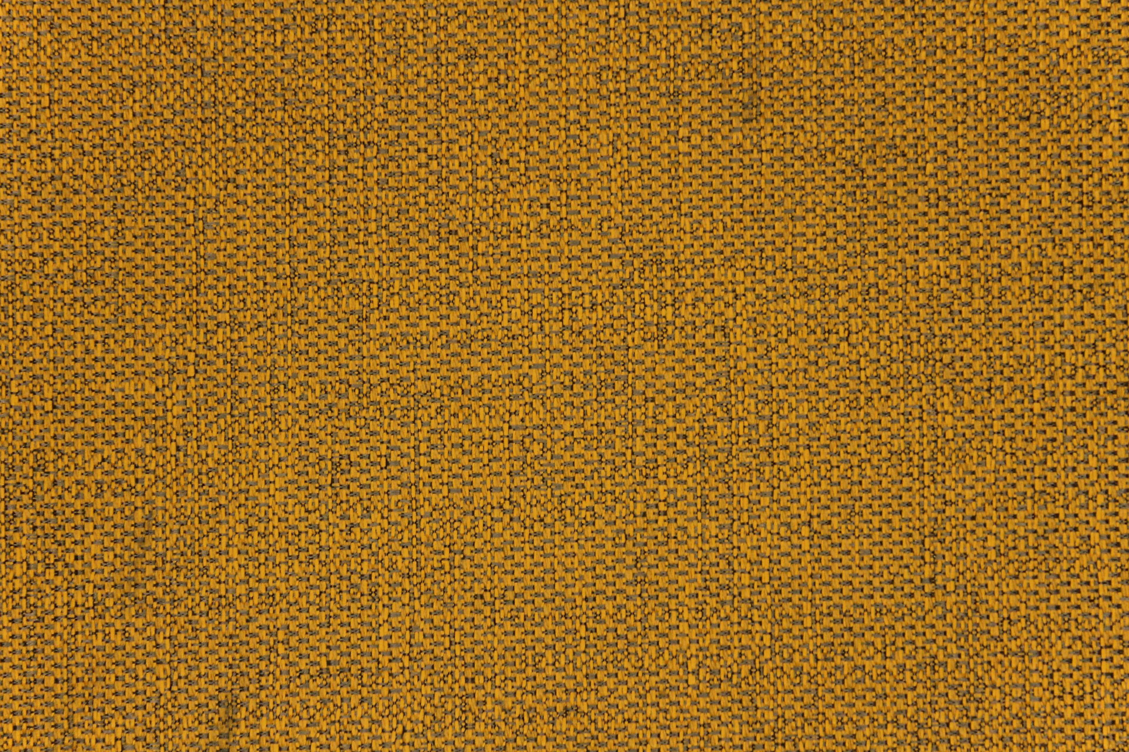 Tailor Caramel