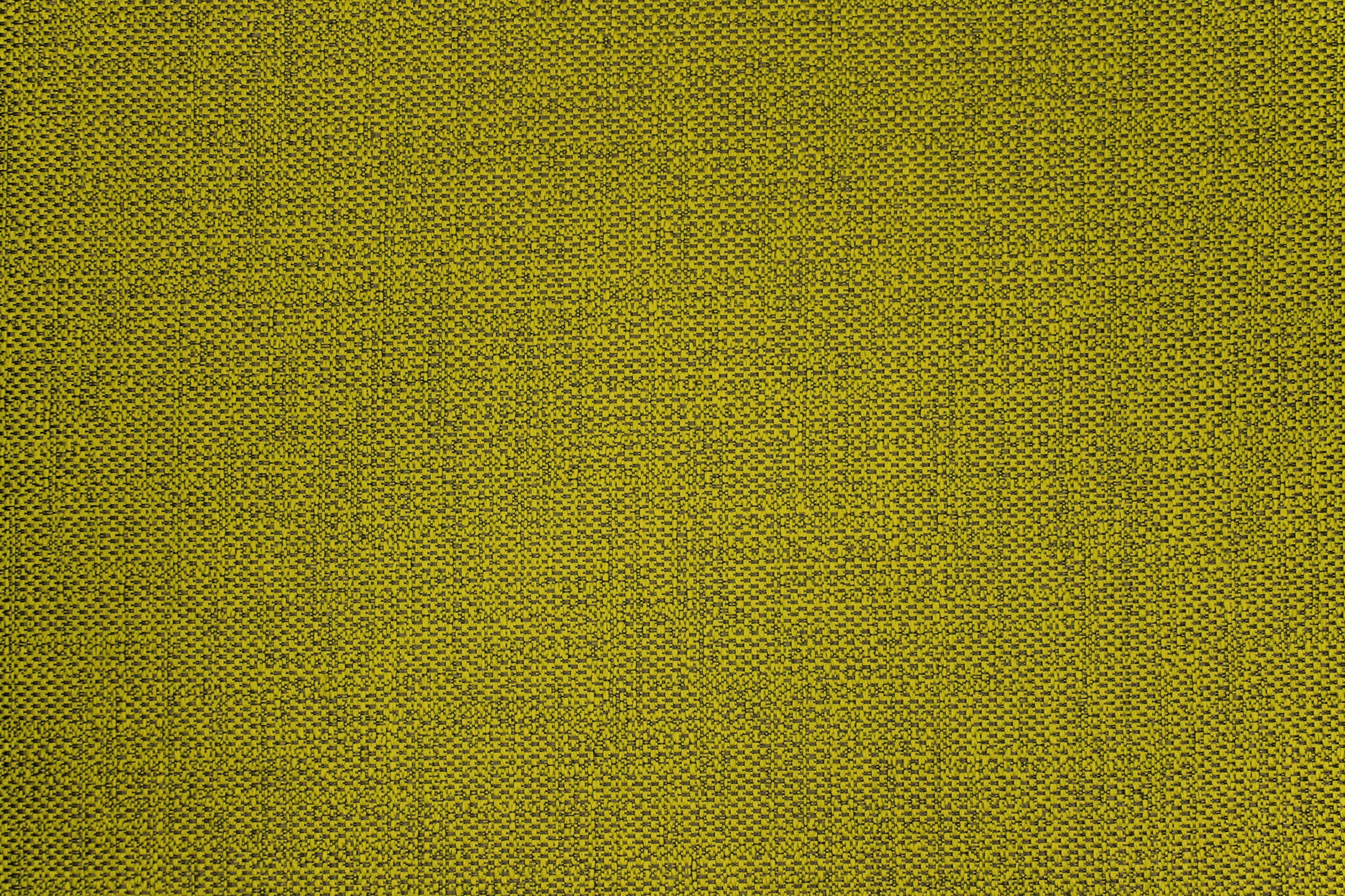 Tailor Chartreuse