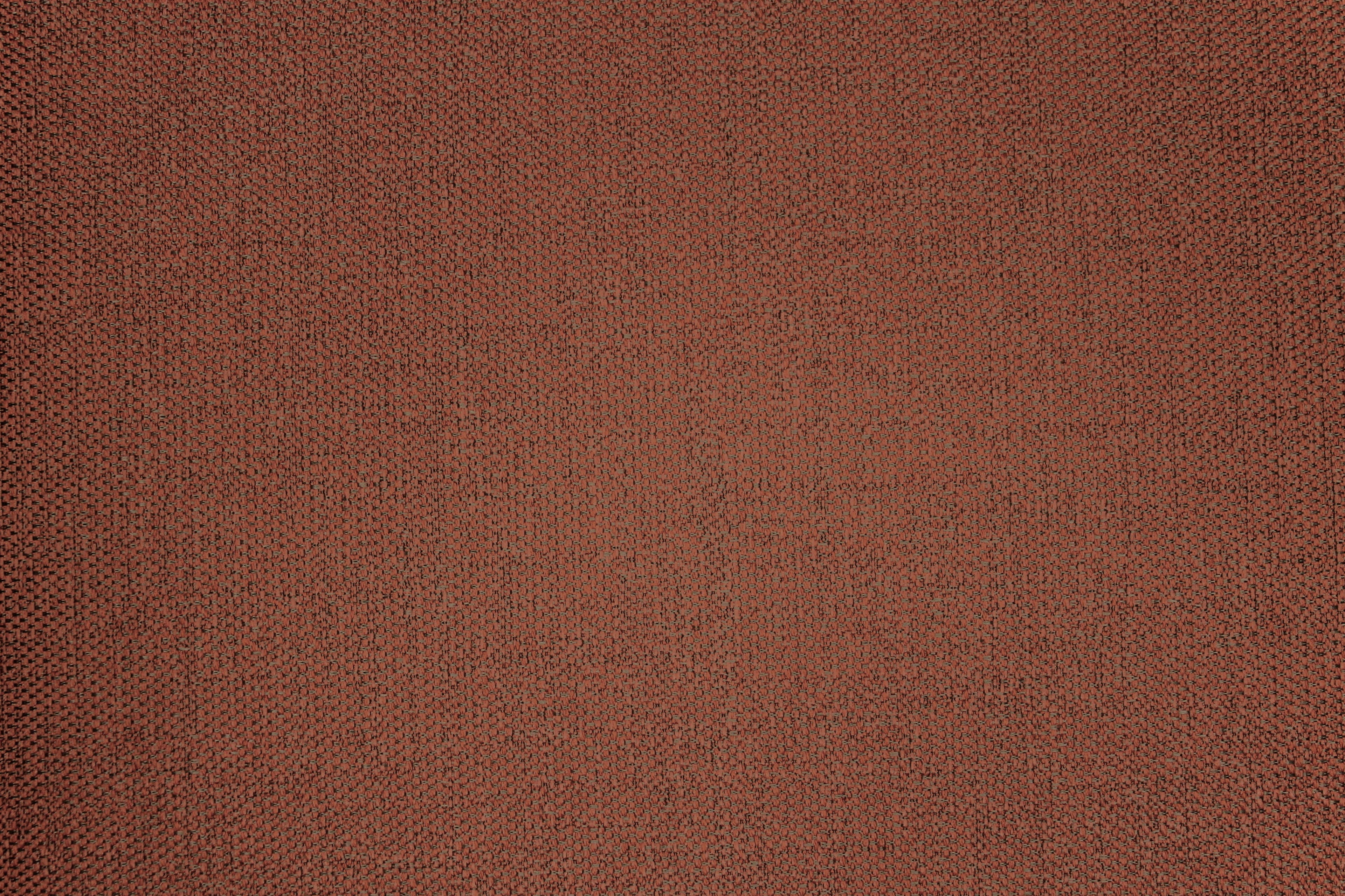 Tailor Chestnut