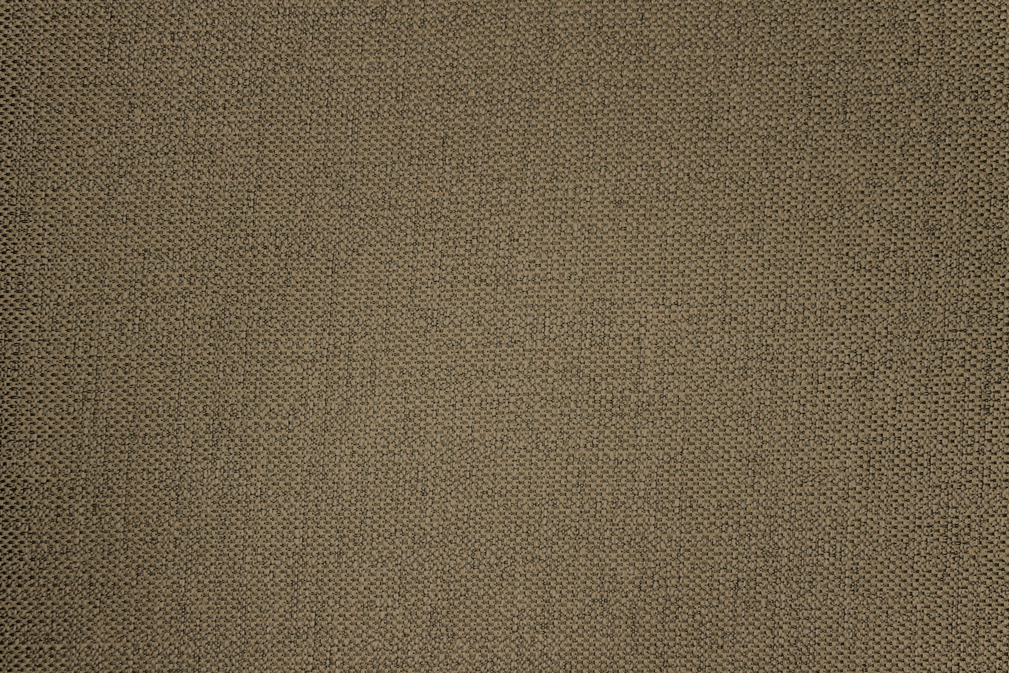 Tailor Clay
