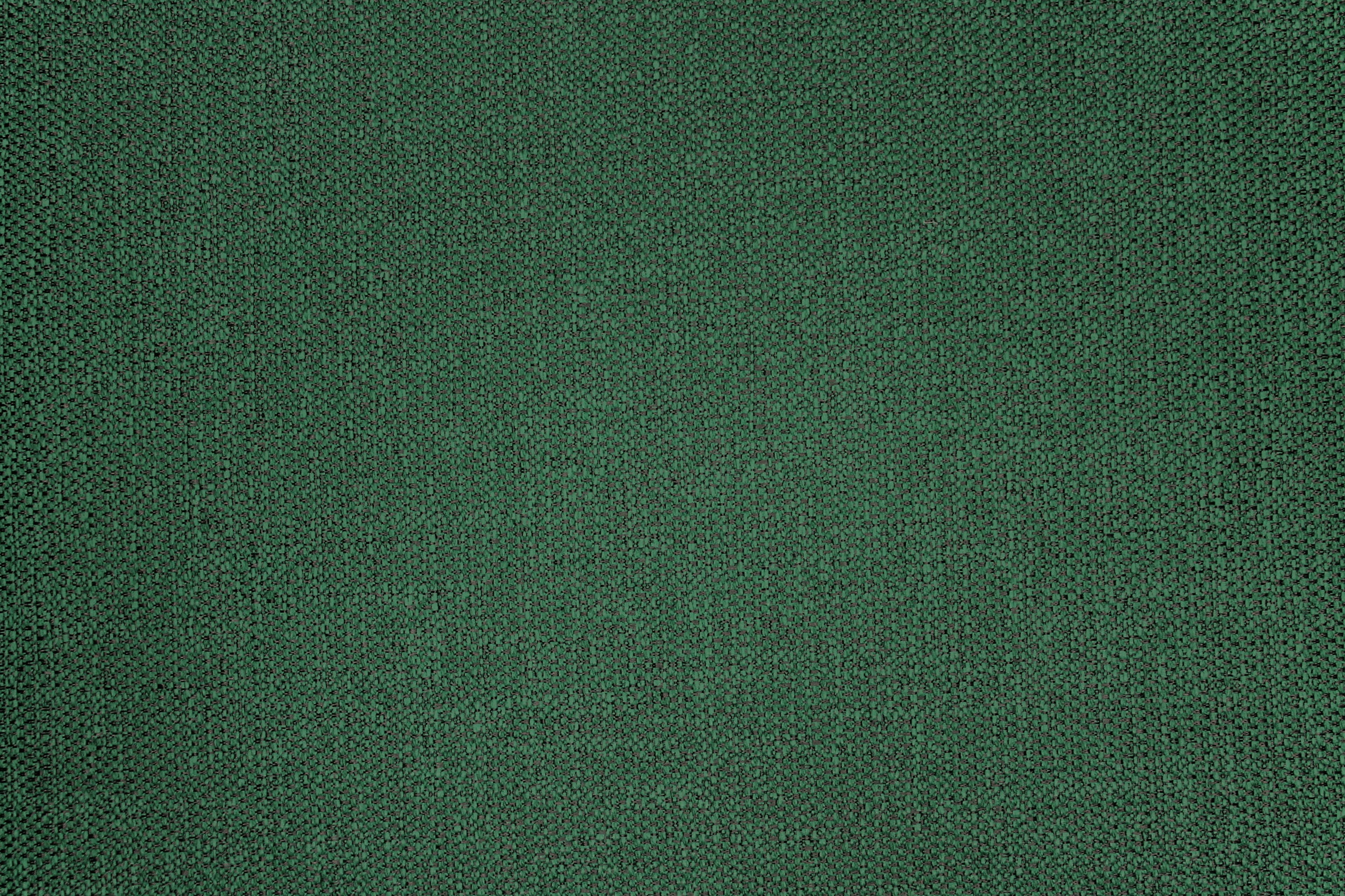 Tailor Emerald