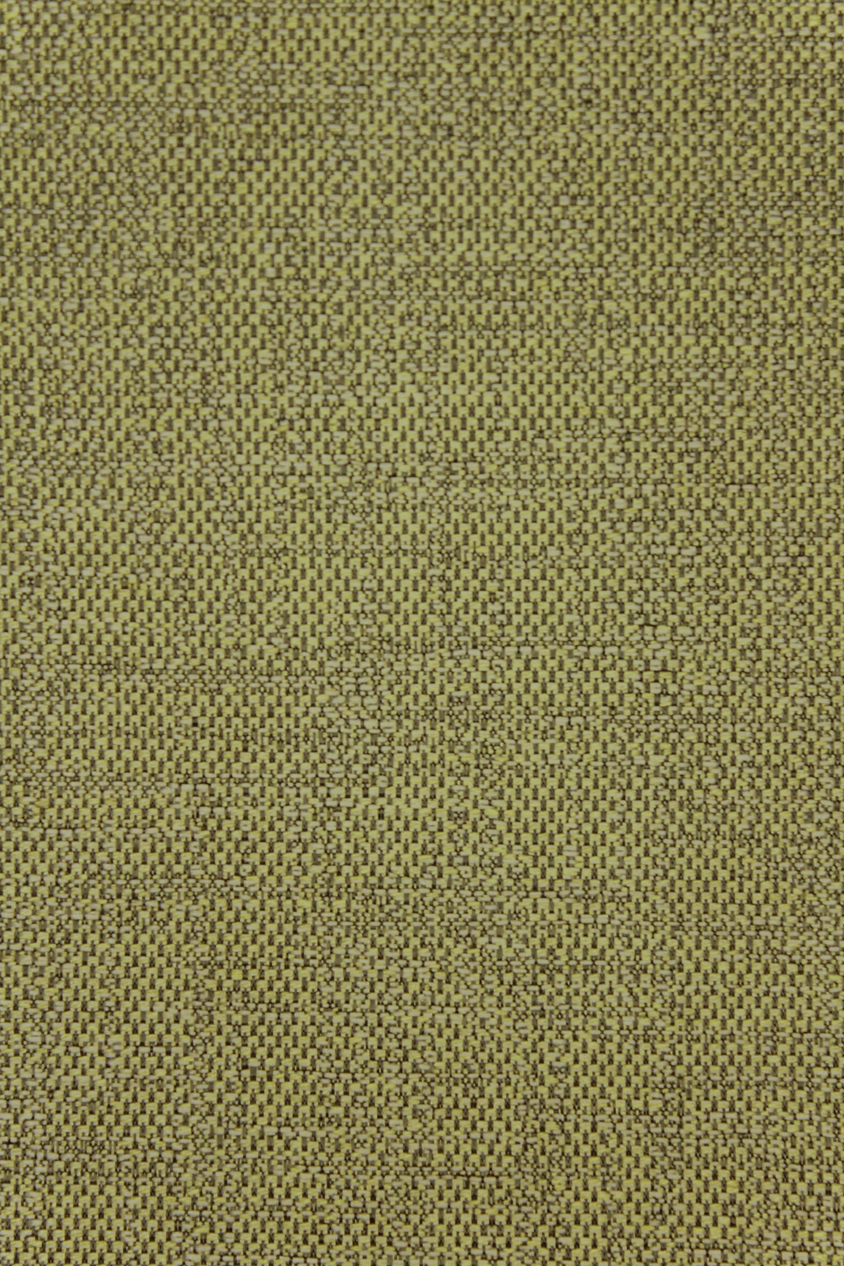 Tailor Gold