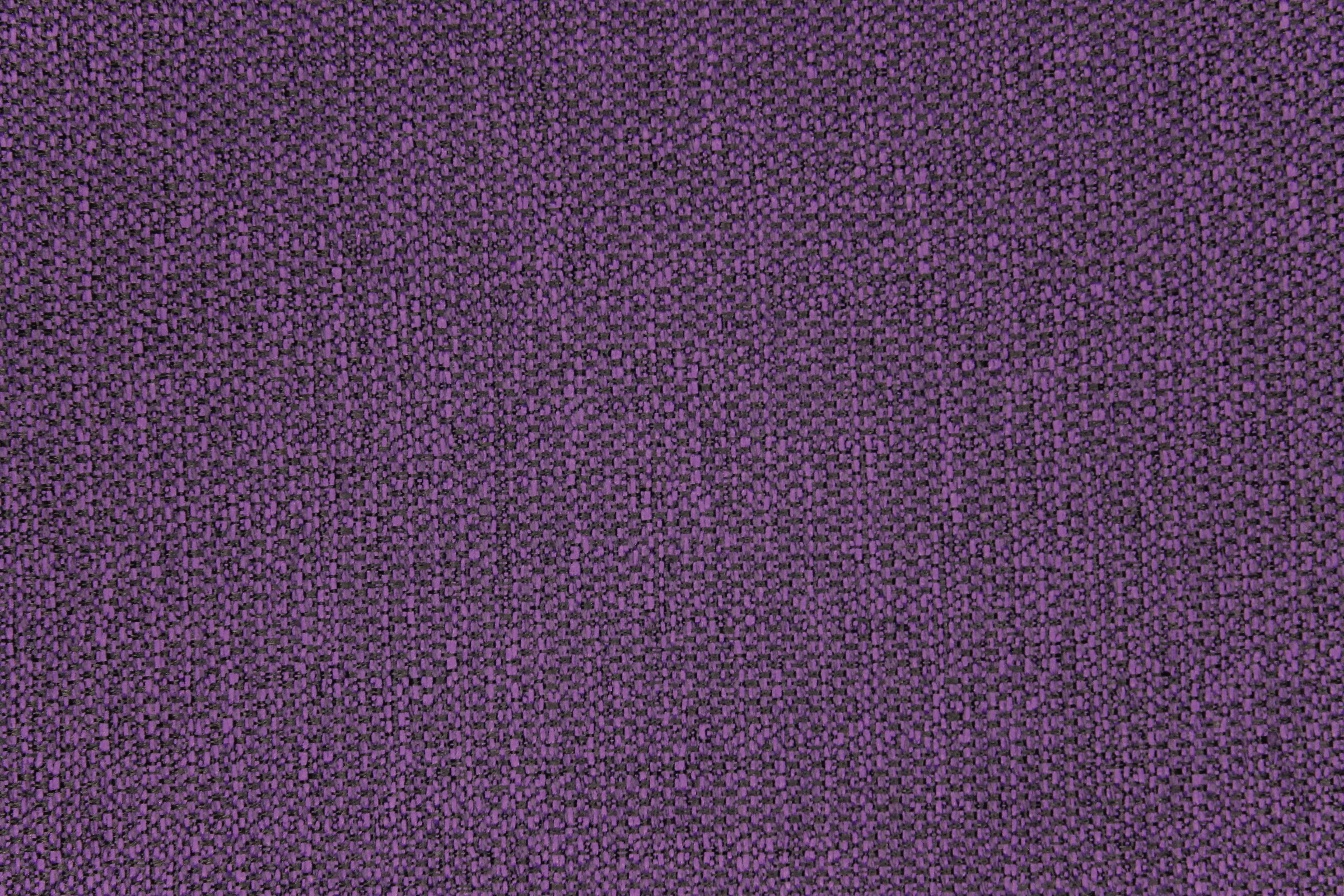 Tailor Purple