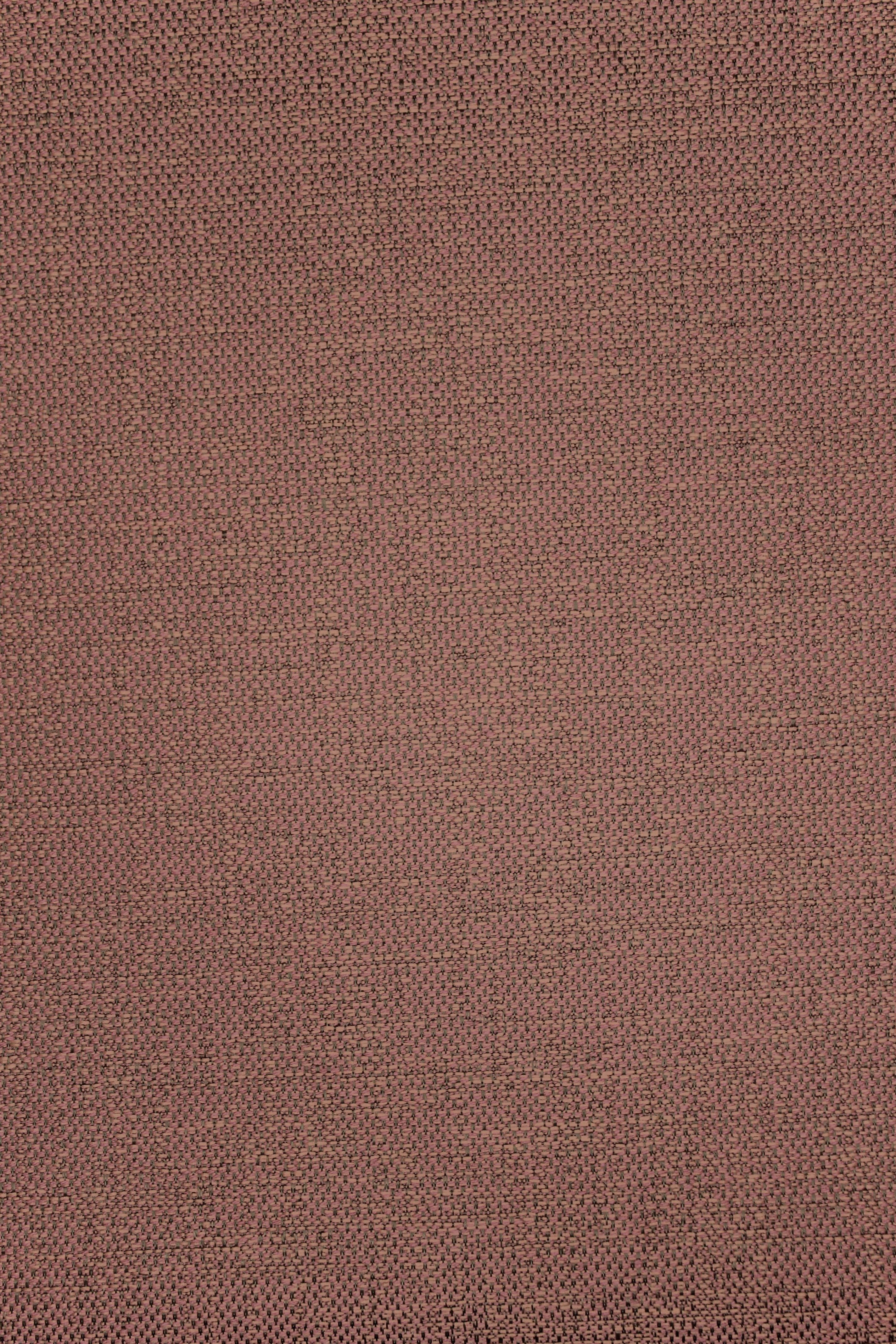 Tailor Rose