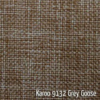 Karoo Grey Goose