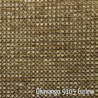 Okavango Curlew