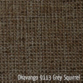 Okavango Grey Squirrel